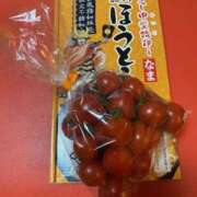 ヒメ日記 2025/02/06 07:42 投稿 静香 プレイボーイ(八王子)