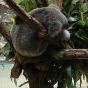 ヒメ日記 2025/02/08 07:51 投稿 静香 プレイボーイ(八王子)