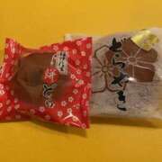 ヒメ日記 2025/04/15 08:36 投稿 静香 プレイボーイ(八王子)