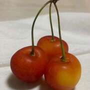 ヒメ日記 2025/07/09 07:15 投稿 静香 プレイボーイ(八王子)