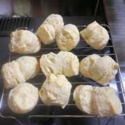 ヒメ日記 2025/11/04 07:36 投稿 静香 プレイボーイ(八王子)