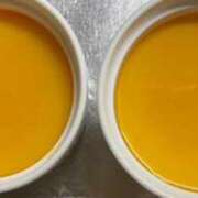 ヒメ日記 2025/11/12 08:37 投稿 静香 プレイボーイ(八王子)