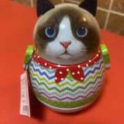 ヒメ日記 2026/03/14 08:46 投稿 静香 プレイボーイ(八王子)