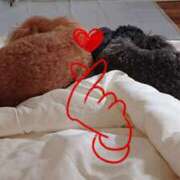 ヒメ日記 2025/05/17 08:48 投稿 つばさ プレイボーイ(八王子)