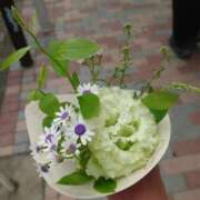 ヒメ日記 2026/04/24 08:47 投稿 つばさ プレイボーイ(八王子)