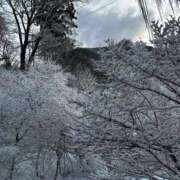 ヒメ日記 2025/01/01 13:48 投稿 かおり 厚木人妻城