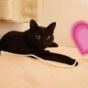 ヒメ日記 2025/06/11 09:23 投稿 かおり 厚木人妻城