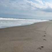 ヒメ日記 2025/09/27 14:02 投稿 かおり 厚木人妻城