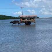 ヒメ日記 2025/10/21 13:25 投稿 かおり 厚木人妻城