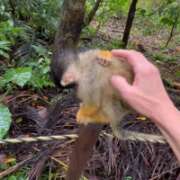 ヒメ日記 2025/10/24 11:48 投稿 かおり 厚木人妻城