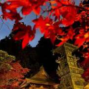 ヒメ日記 2025/11/22 20:53 投稿 かおり 厚木人妻城