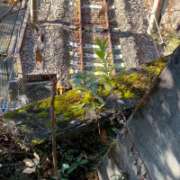 ヒメ日記 2025/11/29 21:35 投稿 かおり 厚木人妻城