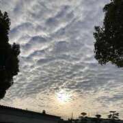 ヒメ日記 2025/01/27 10:45 投稿 くじょう 厚木人妻城