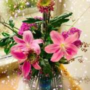 ヒメ日記 2025/10/24 16:12 投稿 くじょう 厚木人妻城