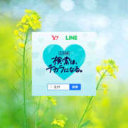 ヒメ日記 2025/03/11 13:52 投稿 さつき 厚木人妻城