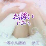 ヒメ日記 2025/03/16 12:15 投稿 さつき 厚木人妻城