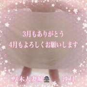 ヒメ日記 2025/04/02 12:33 投稿 さつき 厚木人妻城