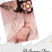 ヒメ日記 2025/12/26 13:28 投稿 みお 厚木人妻城