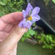 ヒメ日記 2025/06/22 17:59 投稿 まりか 厚木人妻城