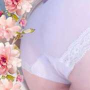 ヒメ日記 2025/08/10 09:23 投稿 まりか 厚木人妻城