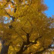 ヒメ日記 2025/11/25 05:50 投稿 まりか 厚木人妻城