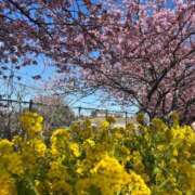 ヒメ日記 2026/02/19 17:41 投稿 まりか 厚木人妻城