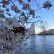 ヒメ日記 2026/04/03 10:38 投稿 まりか 厚木人妻城