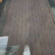 ヒメ日記 2025/11/12 17:01 投稿 みわ 厚木人妻城