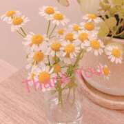 ヒメ日記 2025/04/27 23:48 投稿 ひまり 厚木人妻城