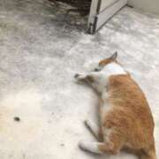 ヒメ日記 2025/01/21 20:18 投稿 ☆ケイ☆触るもの皆メロメロ殺し♡ プロポーション オキナワ