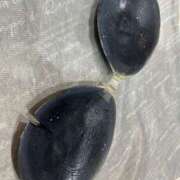 ヒメ日記 2025/02/01 20:03 投稿 ☆ケイ☆触るもの皆メロメロ殺し♡ プロポーション オキナワ