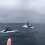 ヒメ日記 2025/02/03 20:03 投稿 ☆ケイ☆触るもの皆メロメロ殺し♡ プロポーション オキナワ