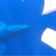 ヒメ日記 2025/03/20 02:03 投稿 ☆ケイ☆触るもの皆メロメロ殺し♡ プロポーション オキナワ