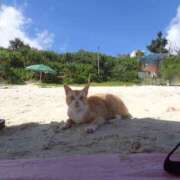 ヒメ日記 2025/05/19 23:42 投稿 ☆ケイ☆触るもの皆メロメロ殺し♡ プロポーション オキナワ