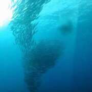 ヒメ日記 2025/05/23 03:48 投稿 ☆ケイ☆触るもの皆メロメロ殺し♡ プロポーション オキナワ