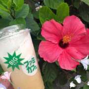 ヒメ日記 2025/06/19 03:33 投稿 ☆ケイ☆触るもの皆メロメロ殺し♡ プロポーション オキナワ