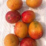 ヒメ日記 2025/07/17 18:39 投稿 ☆ケイ☆触るもの皆メロメロ殺し♡ プロポーション オキナワ