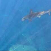 ヒメ日記 2025/09/13 15:03 投稿 ☆ケイ☆触るもの皆メロメロ殺し♡ プロポーション オキナワ