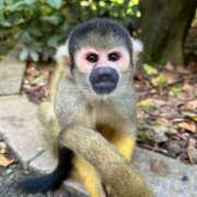 ヒメ日記 2025/10/13 16:45 投稿 ☆ケイ☆触るもの皆メロメロ殺し♡ プロポーション オキナワ