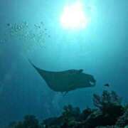 ヒメ日記 2025/10/20 04:54 投稿 ☆ケイ☆触るもの皆メロメロ殺し♡ プロポーション オキナワ