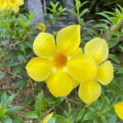 ヒメ日記 2025/12/07 16:57 投稿 ☆ケイ☆触るもの皆メロメロ殺し♡ プロポーション オキナワ