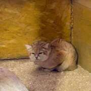 ヒメ日記 2025/12/09 16:12 投稿 ☆ケイ☆触るもの皆メロメロ殺し♡ プロポーション オキナワ