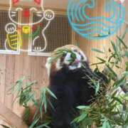 ヒメ日記 2026/01/04 05:48 投稿 ☆ケイ☆触るもの皆メロメロ殺し♡ プロポーション オキナワ