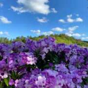 ヒメ日記 2026/01/10 02:33 投稿 ☆ケイ☆触るもの皆メロメロ殺し♡ プロポーション オキナワ