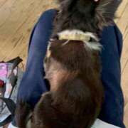 ヒメ日記 2026/01/11 17:33 投稿 ☆ケイ☆触るもの皆メロメロ殺し♡ プロポーション オキナワ