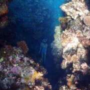 ヒメ日記 2026/01/16 20:03 投稿 ☆ケイ☆触るもの皆メロメロ殺し♡ プロポーション オキナワ