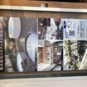 ヒメ日記 2025/01/09 16:54 投稿 渋谷 品川しろうさぎ