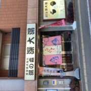 ヒメ日記 2025/01/12 17:09 投稿 渋谷 品川しろうさぎ