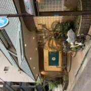 ヒメ日記 2025/02/22 15:20 投稿 渋谷 品川しろうさぎ