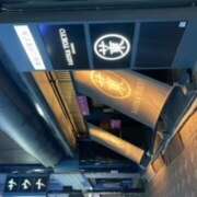 ヒメ日記 2025/02/26 14:51 投稿 渋谷 品川しろうさぎ